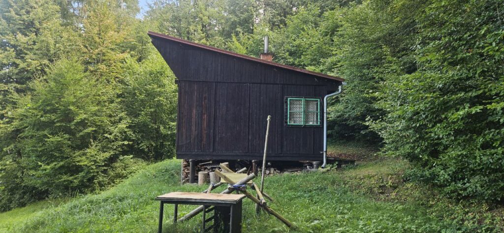 photo 2025 09 09 13 01 11