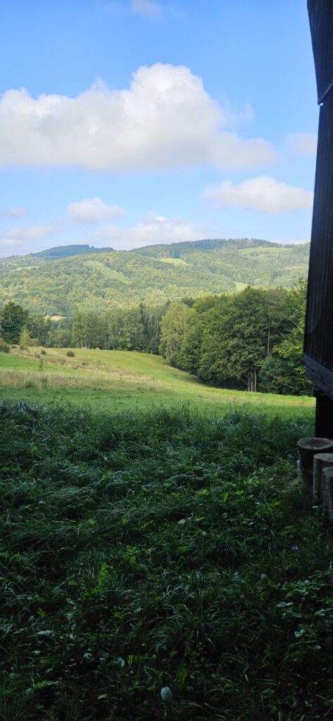 photo 2025 09 09 13 01 29